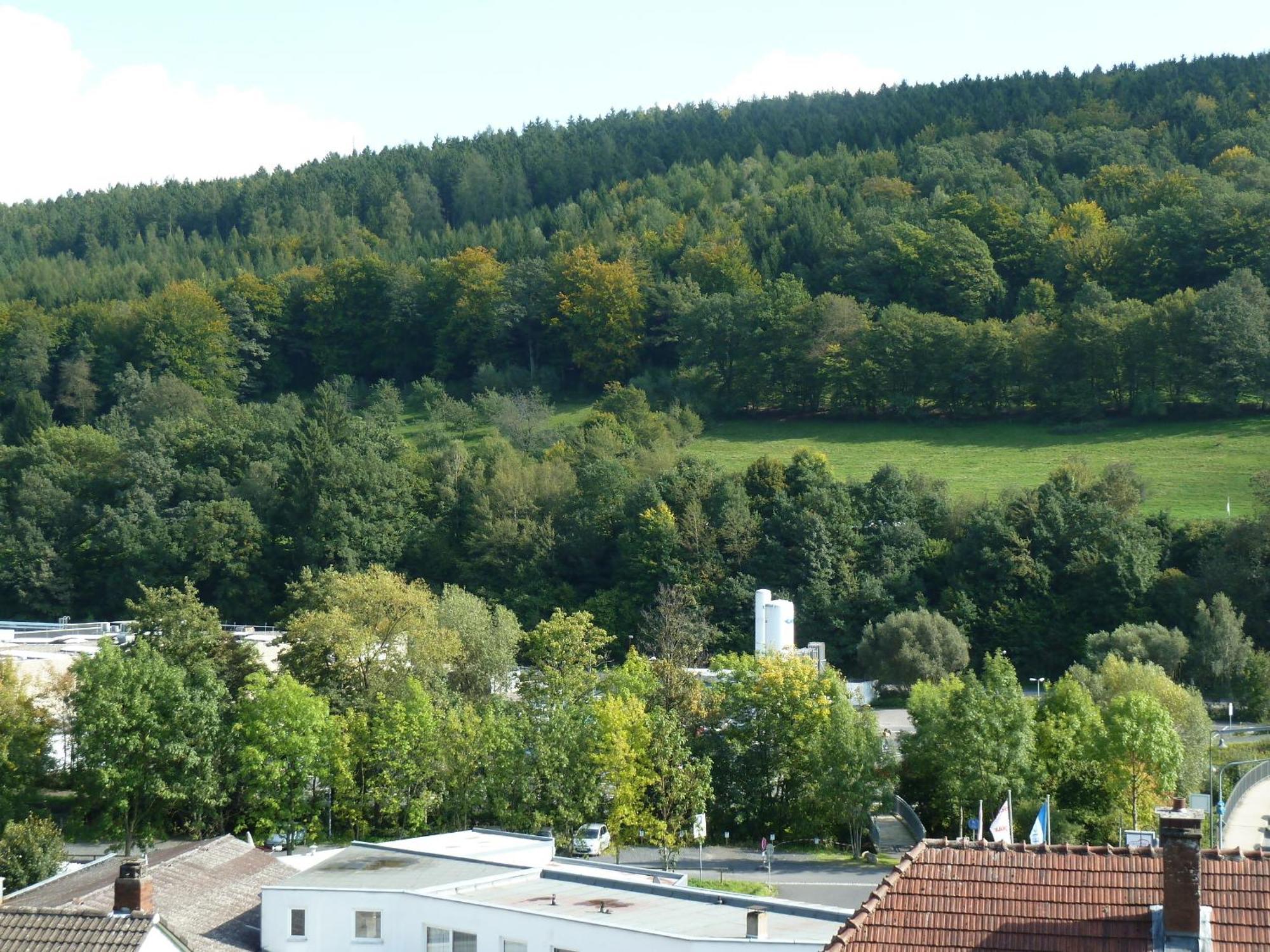 Lina's Rhön Bad Brückenau Exteriör bild