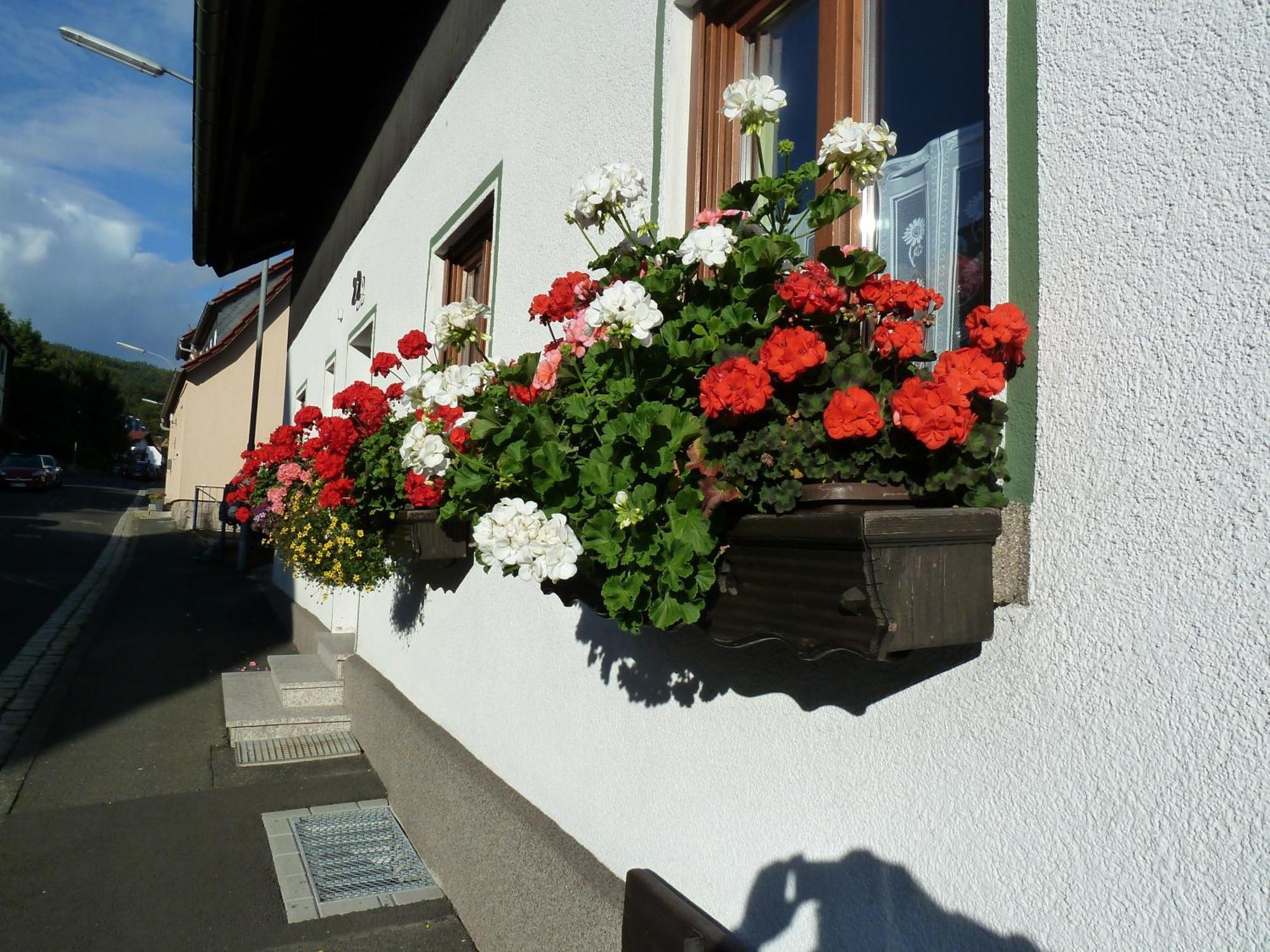 Lina's Rhön Bad Brückenau Exteriör bild